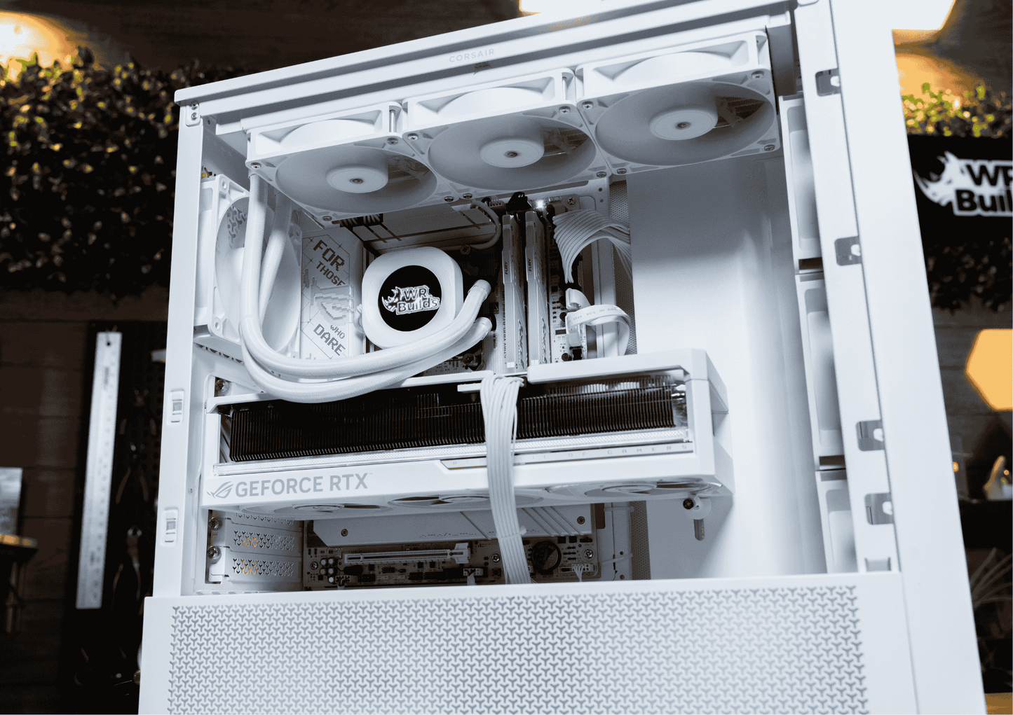 Whiteout: Rhyno Edge